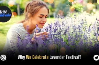 Why We Celebrate Lavender Festival?