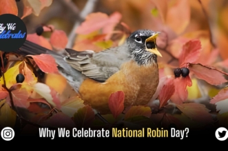 Why We Celebrate National Robin Day?