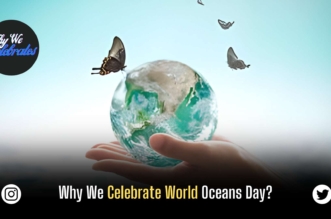 Why We Celebrate World Oceans Day?