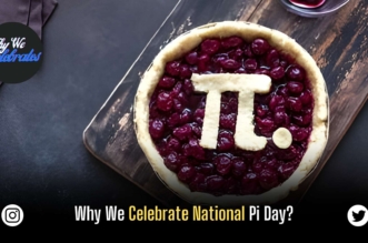 Why We Celebrate National Pi Day?