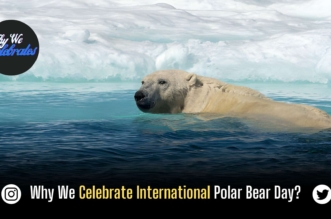 Why We Celebrate International Polar Bear Day?