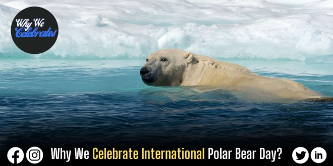 Why We Celebrate International Polar Bear Day?