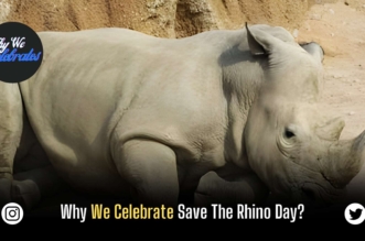 Why We Celebrate Save The Rhino Day?