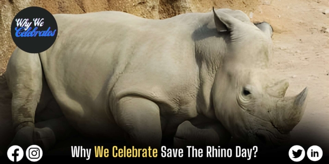 Why We Celebrate Save The Rhino Day?