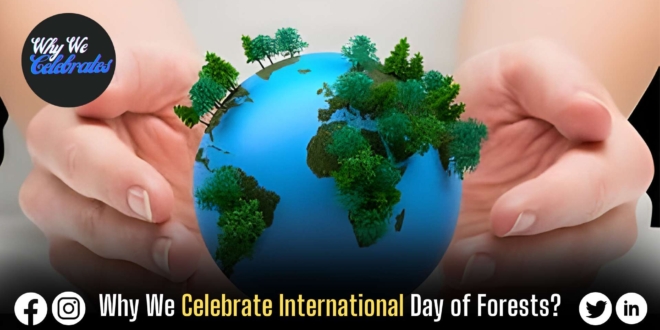 Why We Celebrate International Day of Forests?