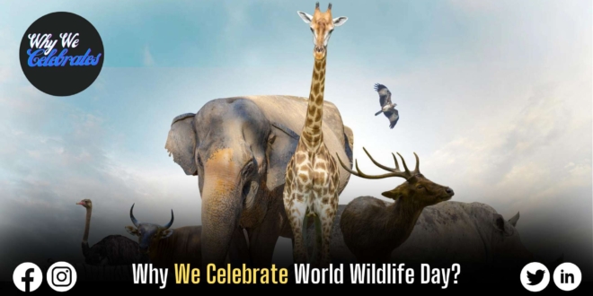 Why We Celebrate World Wildlife Day?