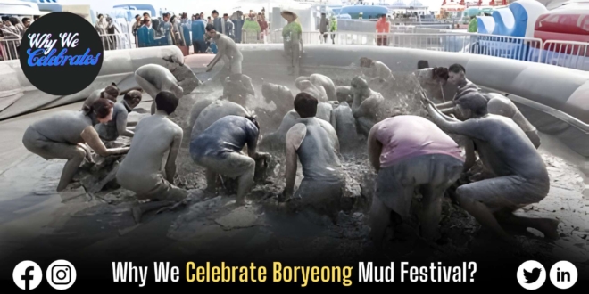 Why We Celebrate Boryeong Mud Festival?