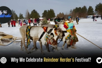 Why We Celebrate Reindeer Herder's Festival?